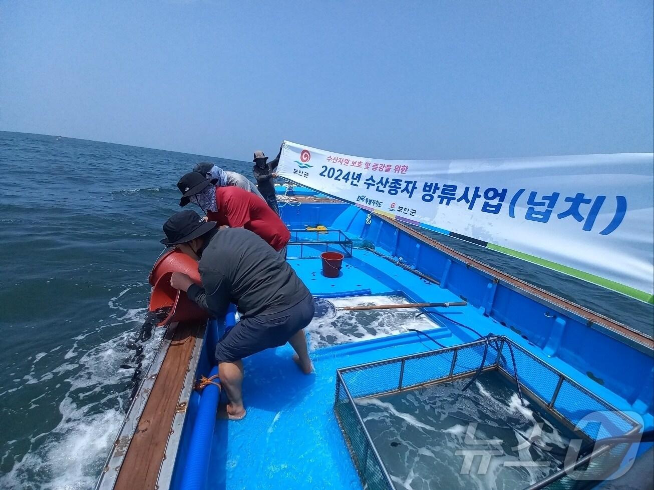  부안군은 어족자원 확보를 위해 3일 변산면 연안 해상에 넙치 치어 약 46만 마리&#40;2억원 상당&#41;를 방류했다.&#40;부안군 제공&#41;2024.7.3/뉴스1