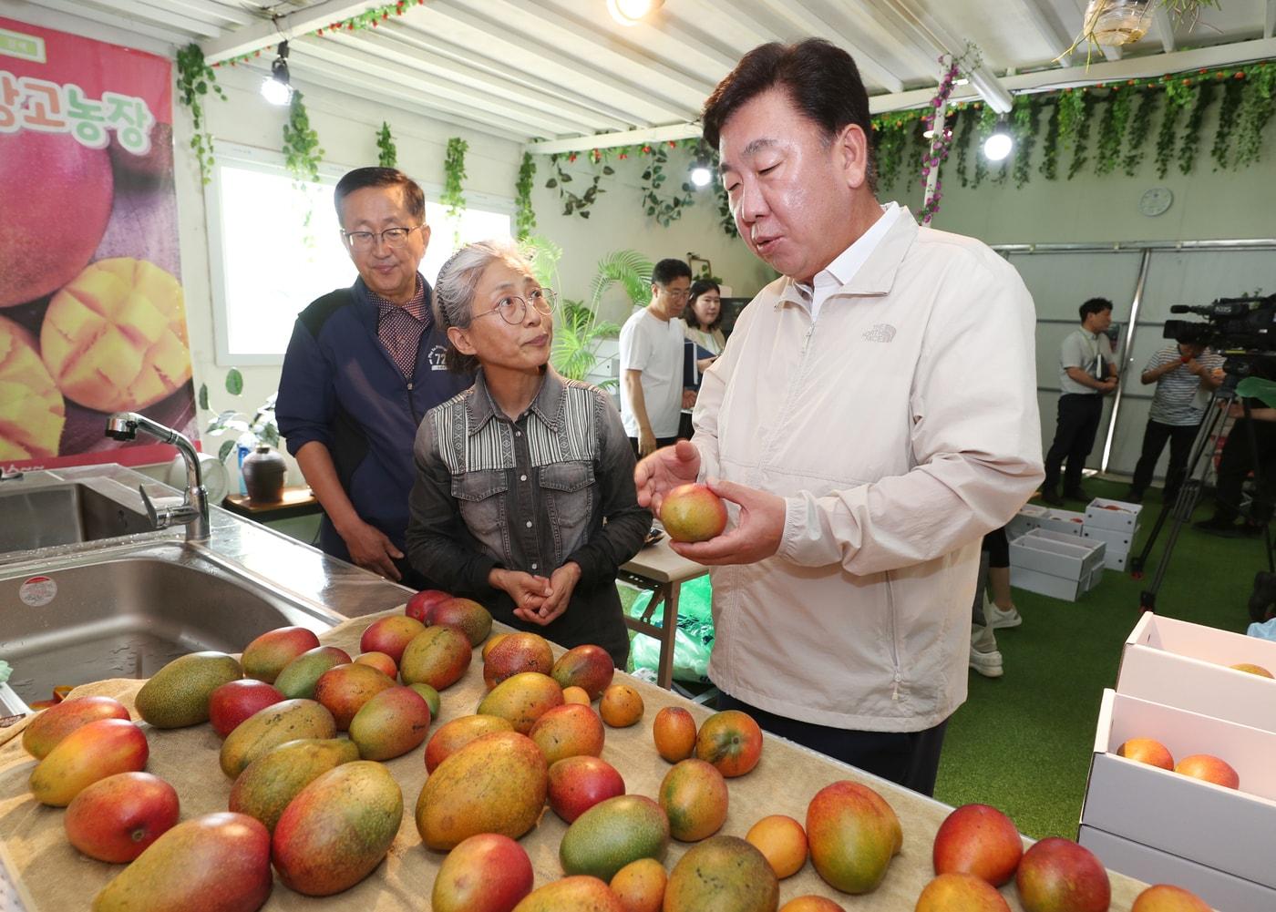 지역 애플망고 재배농가 방문한 이범석 청주시장.