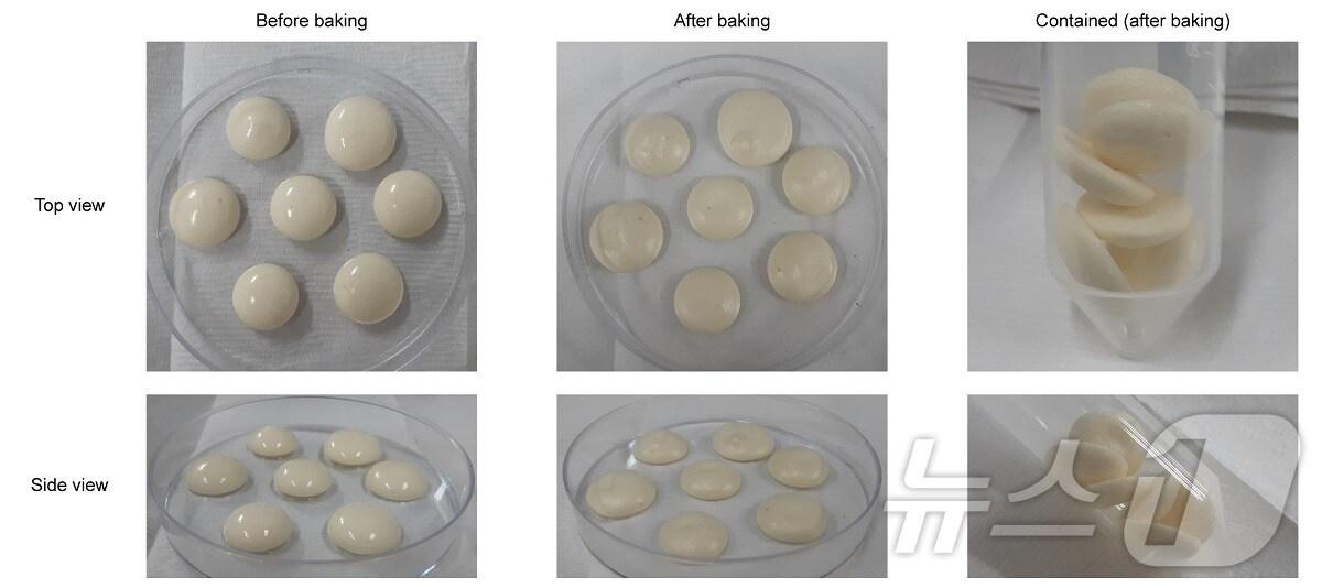 미생물 용해물의 거품 형성 능력 및 머랭 쿠키 제작 예시.&#40;KAIST 제공&#41;/뉴스1