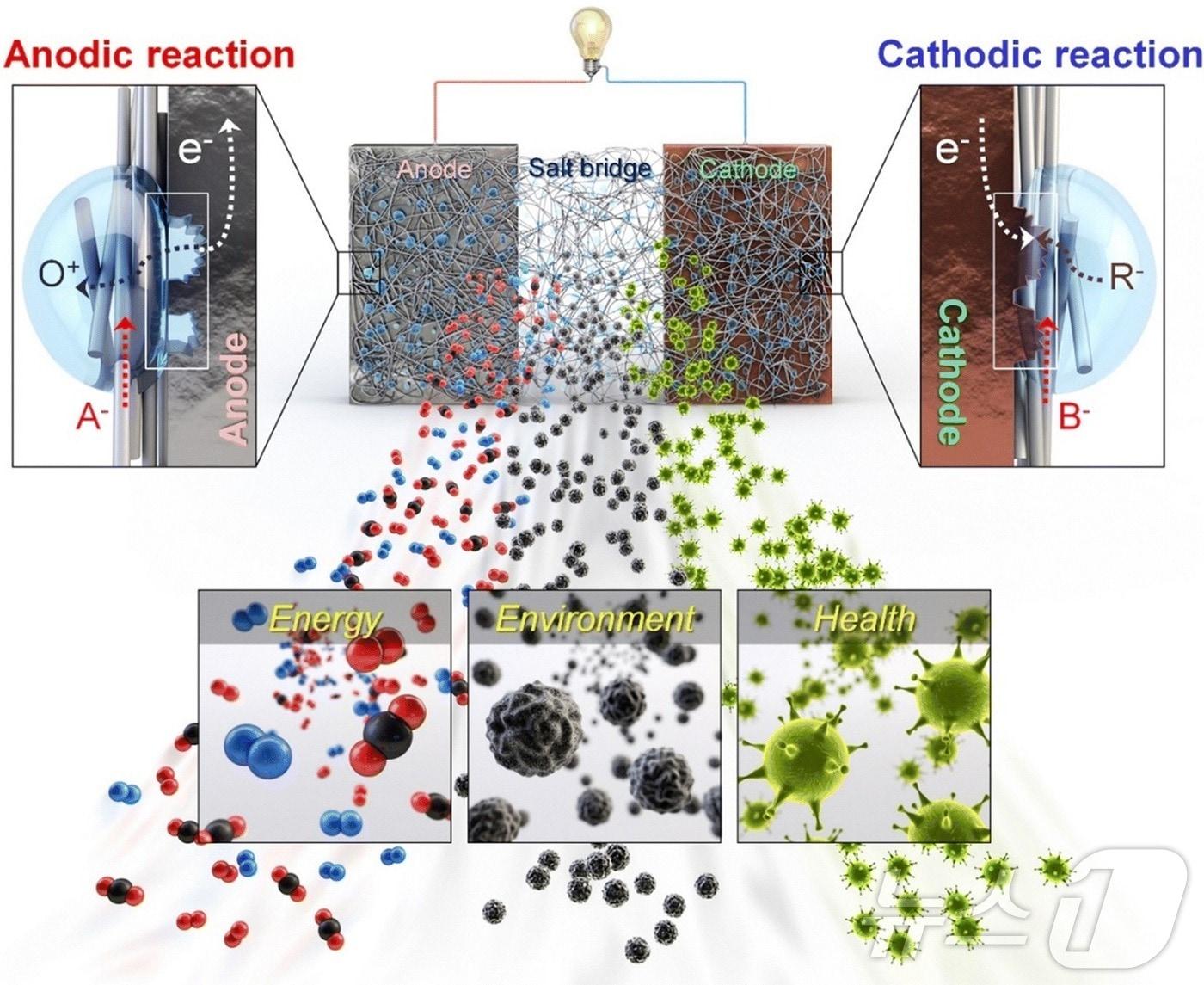 공간개방형 전기화학 셀의 구동 원리 및 활용. &#40;숙명여대 제공&#41;/뉴스1