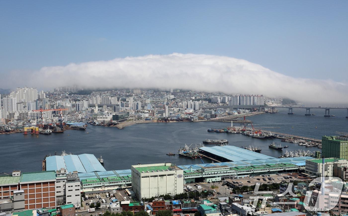 절기상 본격적인 더위가 시작된다는 소서&#40;小暑&#41;를 하루 앞둔 5일 오후 부산 영도구 봉래산 일대가 짙은 해무로 뒤덮여 이색적인 풍경을 연출하고 있다. 바다에서 끼는 안개를 뜻하는 해무는 차가운 바닷물과 뜨거운 공기가 만나 초여름에 많이 발생한다. 2024.7.5/뉴스1 ⓒ News1 윤일지 기자