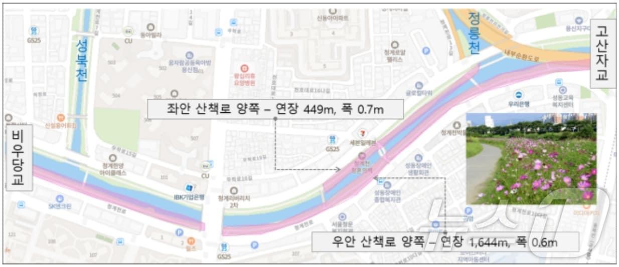 청계천 &#39;코스모스 꽃길&#39; 조성도면. &#40;서울시 제공&#41;