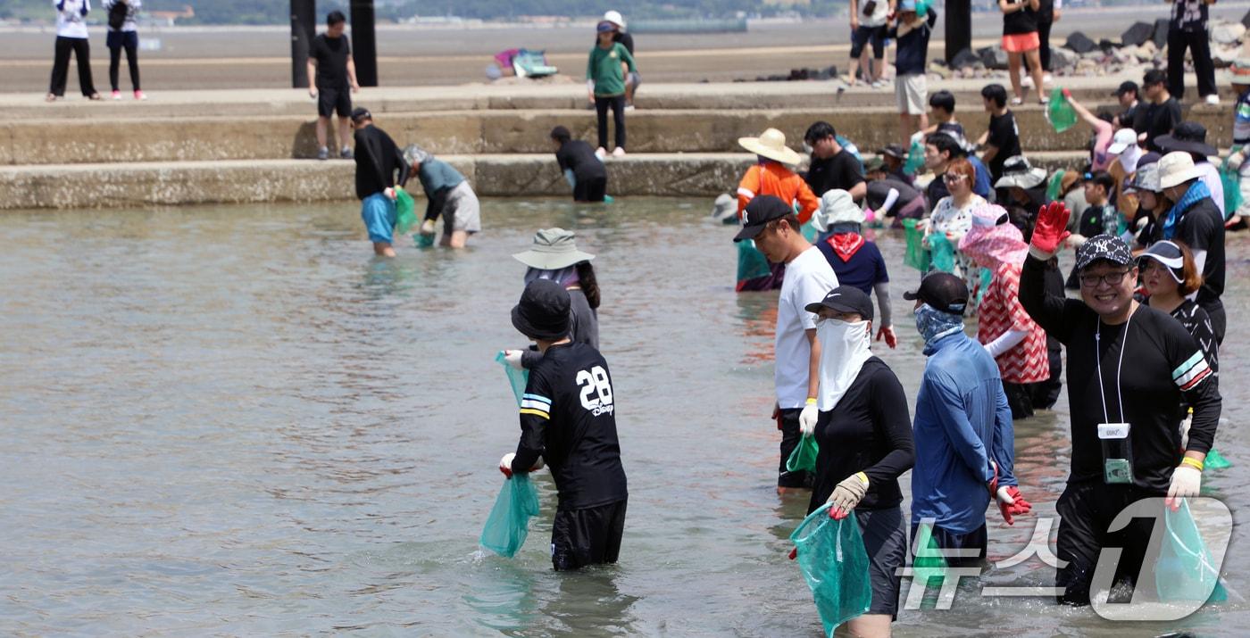 10일 오후 전남 함평 돌머리 해수욕장에서 열린 &#39;흰다리새우 잡기&#39; 체험 행사에서 관광객들이 새우를 잡고 있다. 2024.8.10/뉴스1 ⓒ News1 이수민 기자