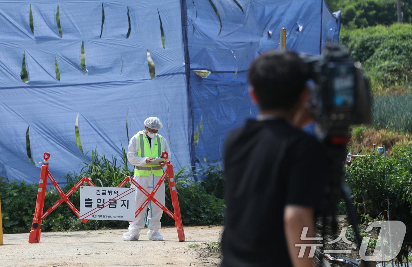 경기 안성시 일죽면의 한 한우농장에서 럼피스킨이 발생돼 방역 관계자들이 농장 일대를 통제를 하고 있다. ⓒ News1 김영운 기자