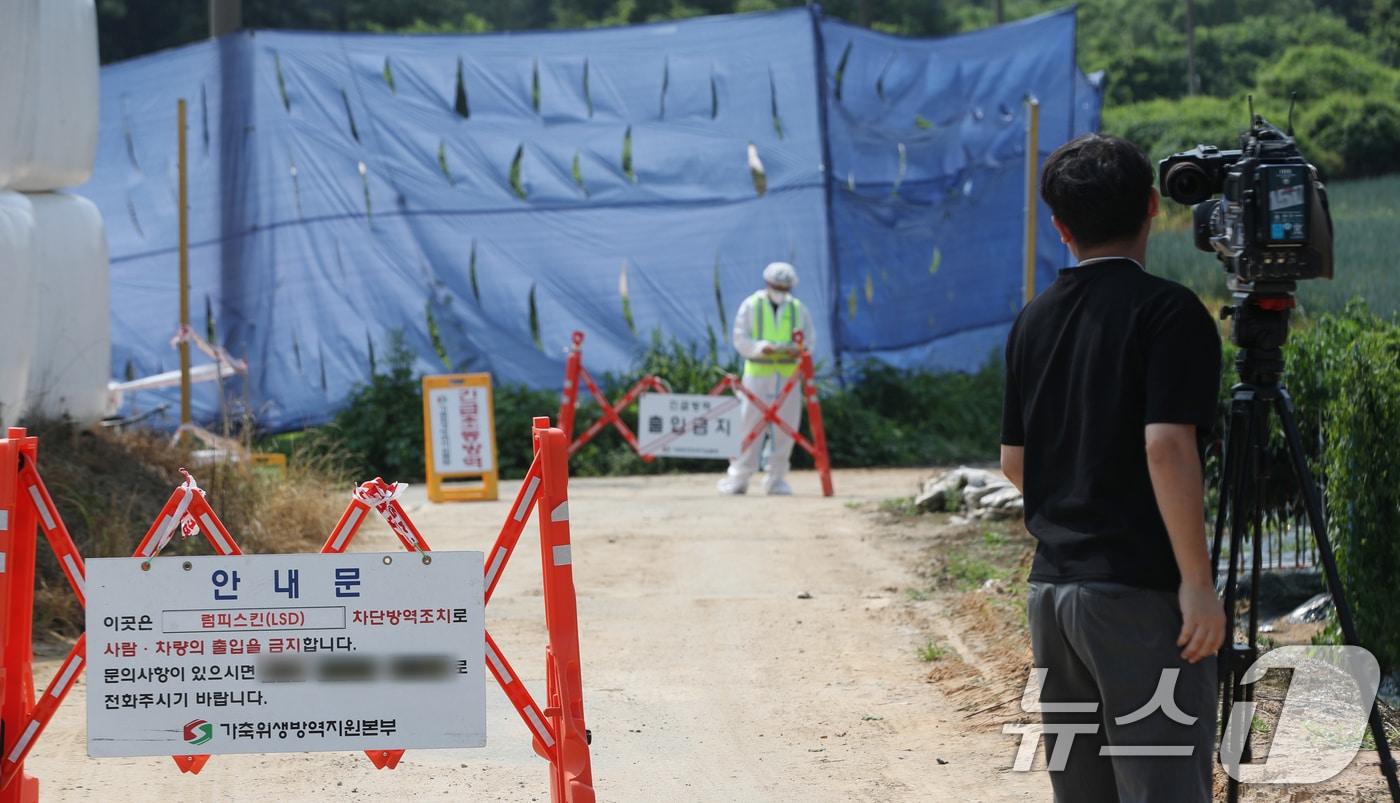 경기 안성시 일죽면의 한 한우농장에서 럼피스킨이 발생돼 방역 관계자들이 농장 일대를 통제를 하고 있다. ⓒ News1 김영운 기자