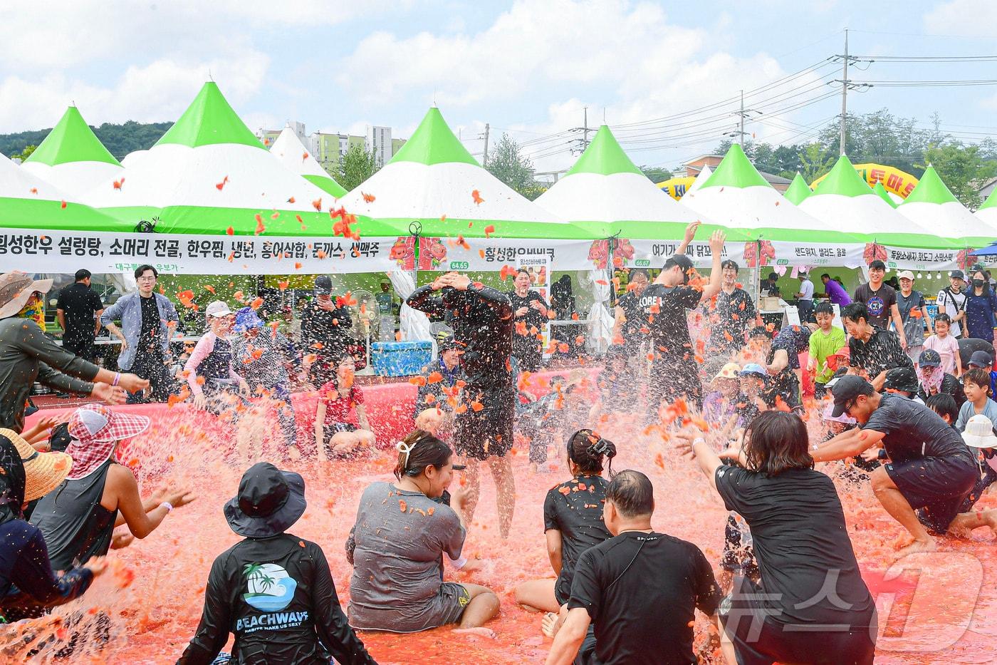 제13회 둔내고랭지토마토 축제장에 마련된 토마토 풀장.&#40;횡성군 제공&#41;/뉴스1