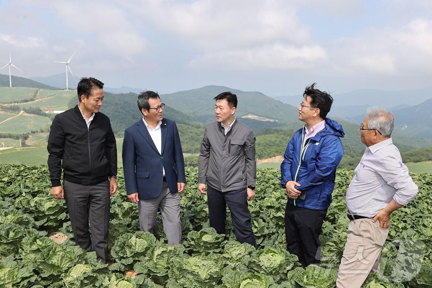 무더위가 이어진 14일 김범석 기획재정부 차관&#40;사진 오른 두번째&#41;과 김홍규 강원 강릉시장&#40;사진 왼쪽 두번째&#41; 등이 강릉지역 고랭지 채소 재배지인 왕산면 대기리 안반데기를 찾아 폭염 속 채소 작황 점검을 실시하고 있다.&#40;강릉시 제공&#41; 2024.8.14/뉴스1 ⓒ News1 윤왕근 기자