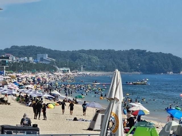  피서객들이 보령 대천해수욕장에서 물놀이를 하고 있다. 2024.8.18 &#40;보령시 제공&#41; /뉴스1 