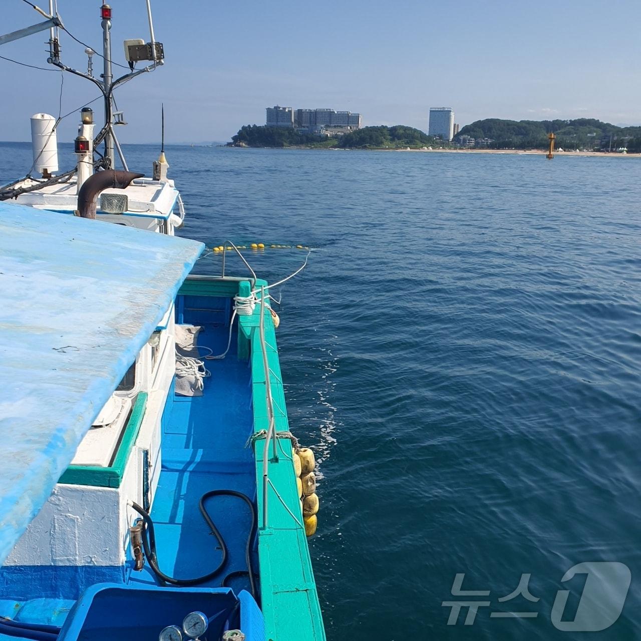 속초시 해파리 구제사업 추진.&#40;속초시 제공&#41; 20248.19/뉴스1