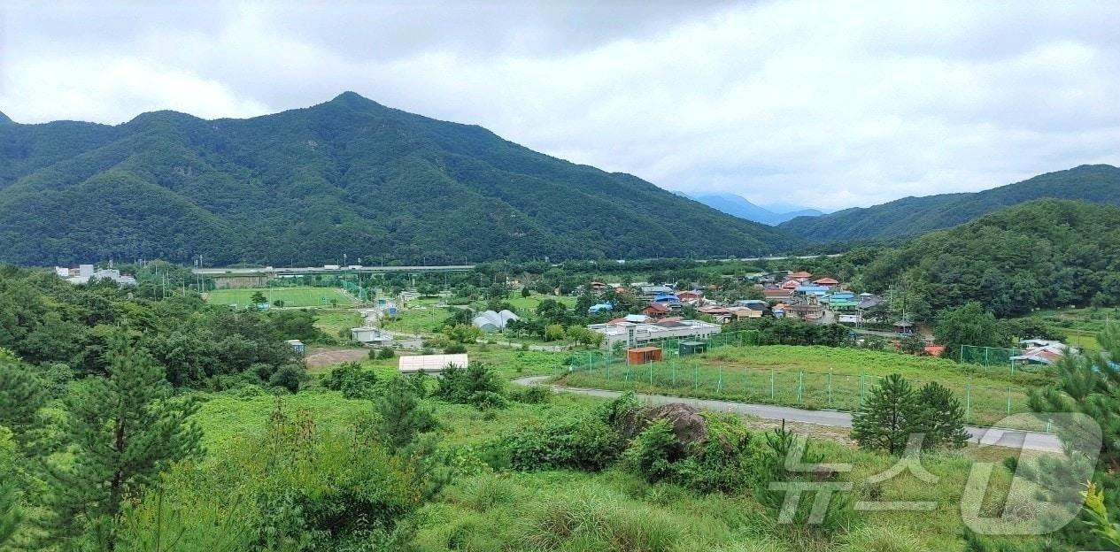 충북 보은군 마로면 소재 구병산관광지 일대 모습. /뉴스1 