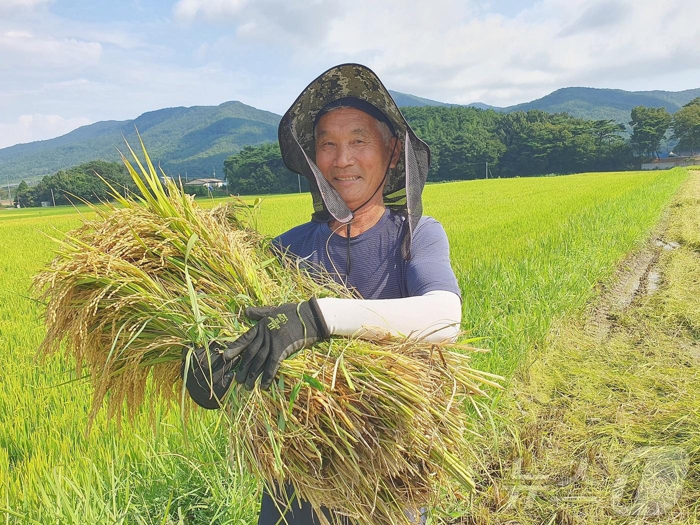 18일 보성군 웅치면  대산리 김안자씨&#40;75&#41; 농가가 모내기를 한 후 120만에 첫 올벼쌀을 수확했다.&#40;보성군 제공&#41;2024.8.19/