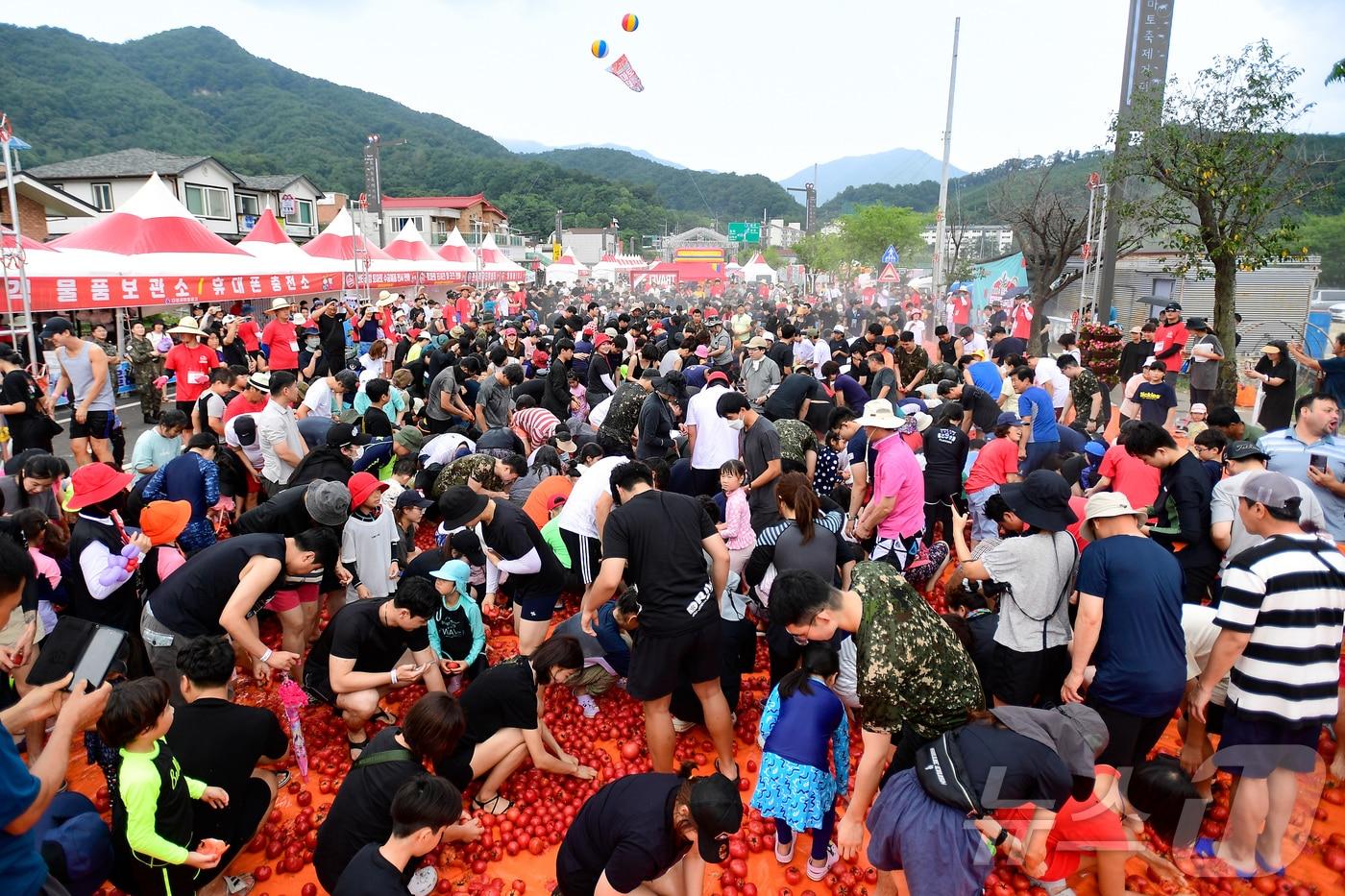 2일 강원 화천 사내면 사창리 문화마을에서 열리는 2024 화천토마토축제장에서 관광객들이 토마토풀장에 들어가 황금반지를 찾고 있다.&#40;화천군 제공&#41;2024.8.2/뉴스1 ⓒ News1 한귀섭 기자