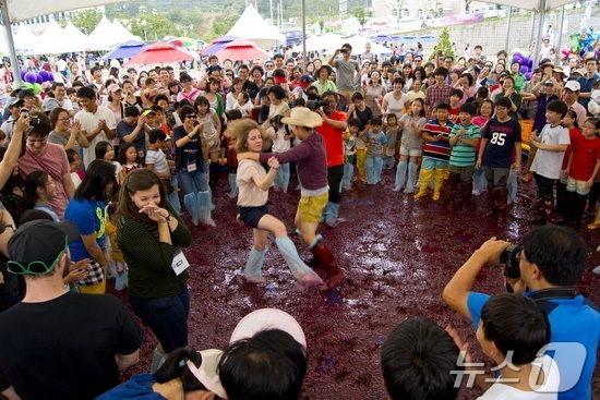 영동포도축제 체험행사 &#40;영동군 제공&#41; /뉴스1 