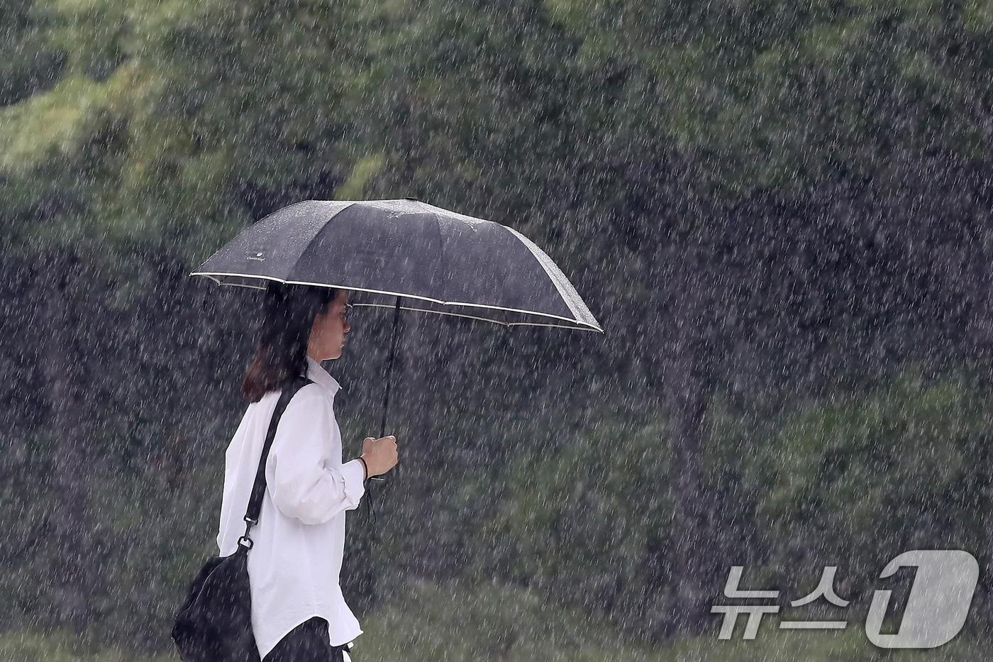 제9호 태풍 &#39;종다리&#39;가 북상한 20일 오후 대구 수성구 달구벌대로 담티고개 인근에 많은 비가 쏟아지고 있다. 2024.8.20/뉴스1 ⓒ News1 공정식 기자