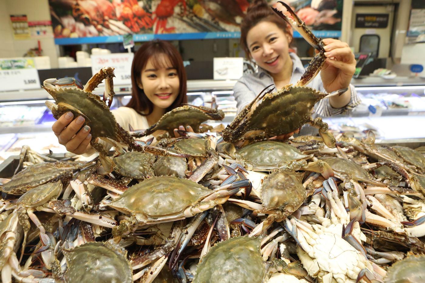 롯데마트 제타플렉스 서울역점에서 모델들이 햇꽃게를 들고 홍보하고 있다&#40;롯데쇼핑 제공&#41;.