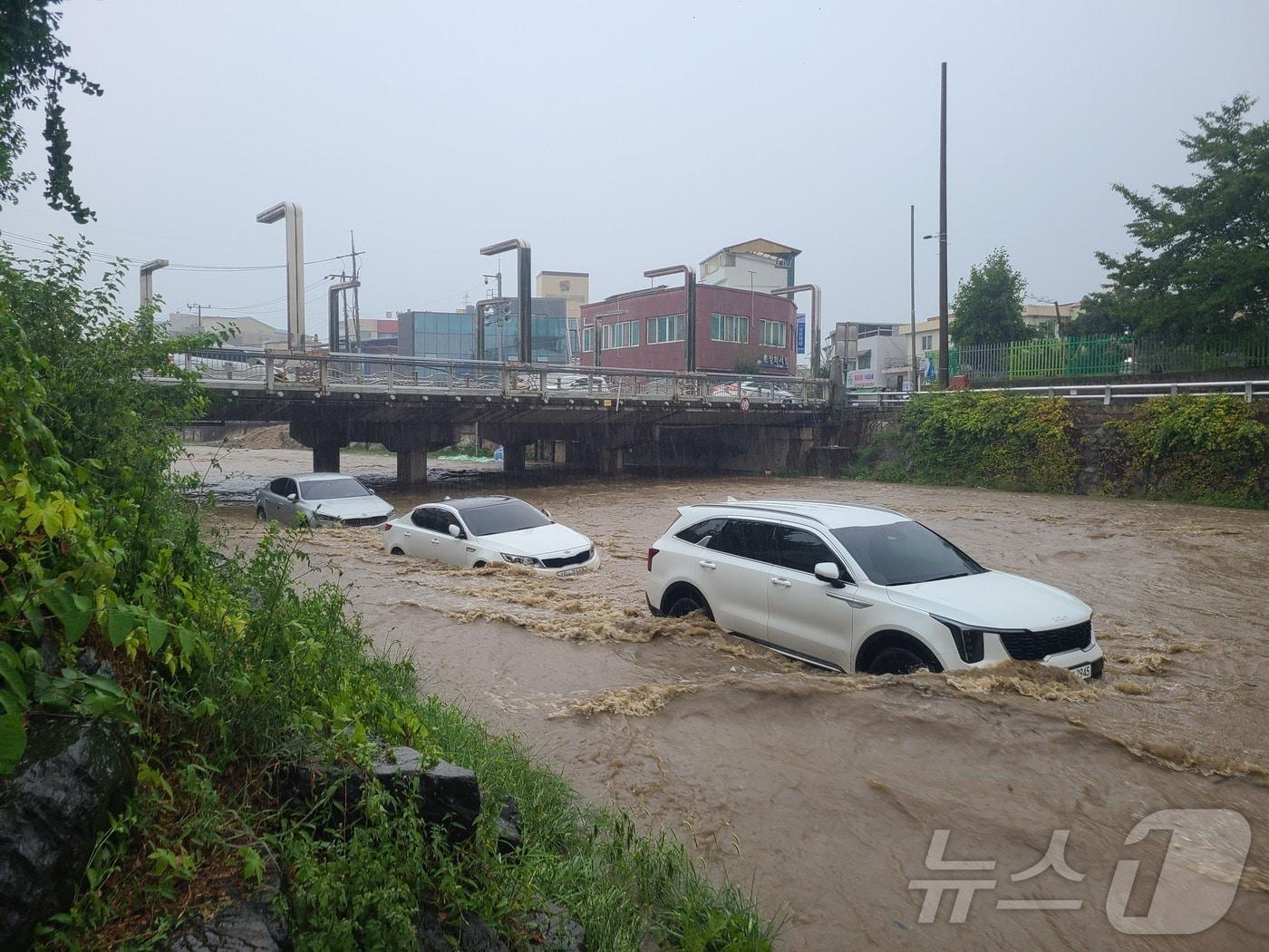 충북 옥천군 옥천읍 금구천이 폭우로 수위가 높아지면서 주차돼 있던 차량 20대가 물에 잠겼다.&#40;옥천군 제공&#41;.2024.8.21/뉴스1 