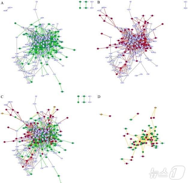 인삼&#40;A&#41;, 황기&#40;B&#41;, 인삼과 황기&#40;C&#41; 사용 시 단백질-단백질 상호작용 네트워크 지도와 삼·황기 동시 사용 시 새롭게 나타나는 단백질-단백질 상호작용 네트워크 지도&#40;D&#41;. &#40;한의학연 제공&#41;/뉴스1