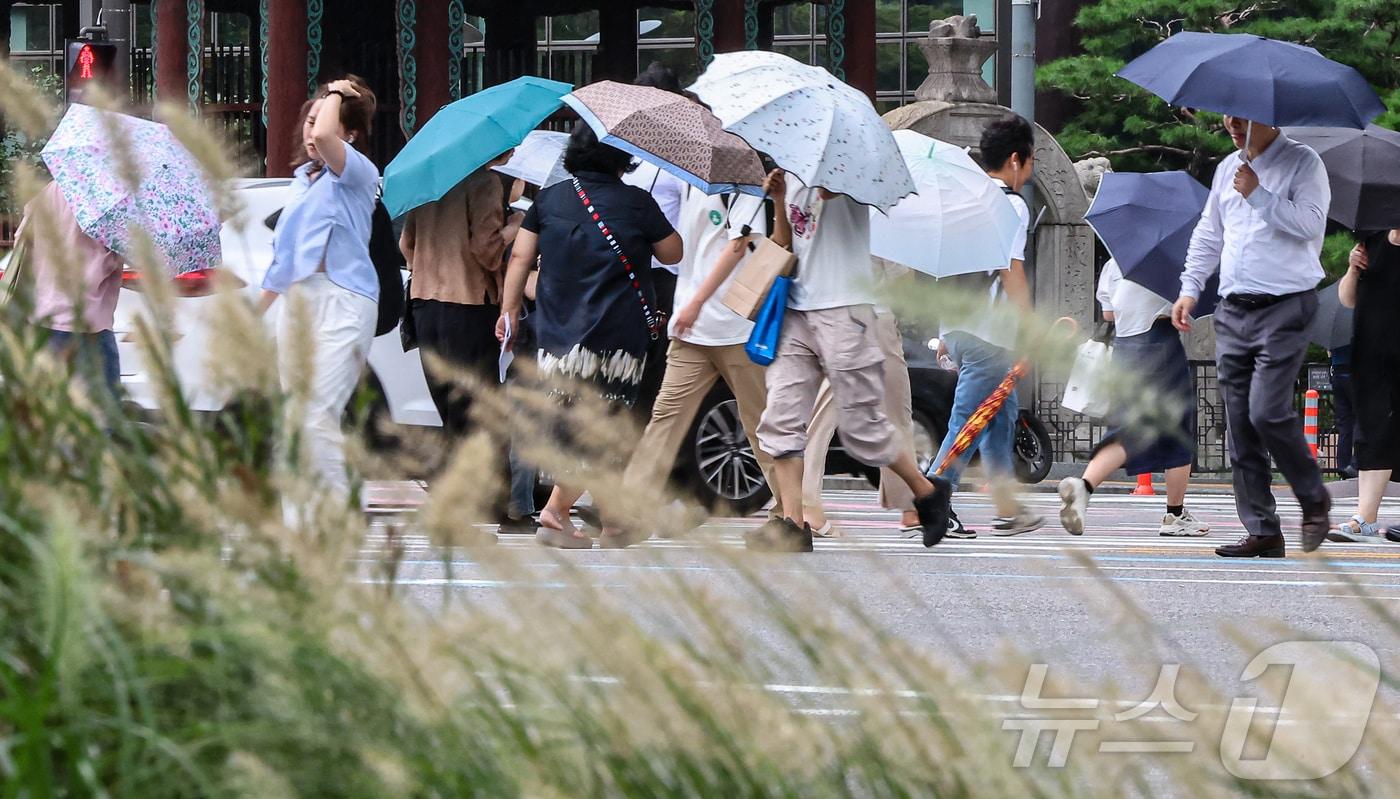 절기상 처서&#40;處暑&#41;인 22일 서울 종로구 광화문네거리 피어난 수크령 뒤로 우산을 쓴 시민들이 지나고 있다. 2024.8.22/뉴스1 ⓒ News1 김도우 기자