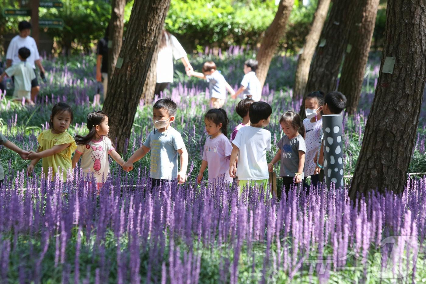 ‘제2회 장항 맥문동 꽃축제’가 23~27일 충남 서천군 장항 송림산림욕장에서 펼쳐진다. &#40;서천군 제공&#41; /뉴스1