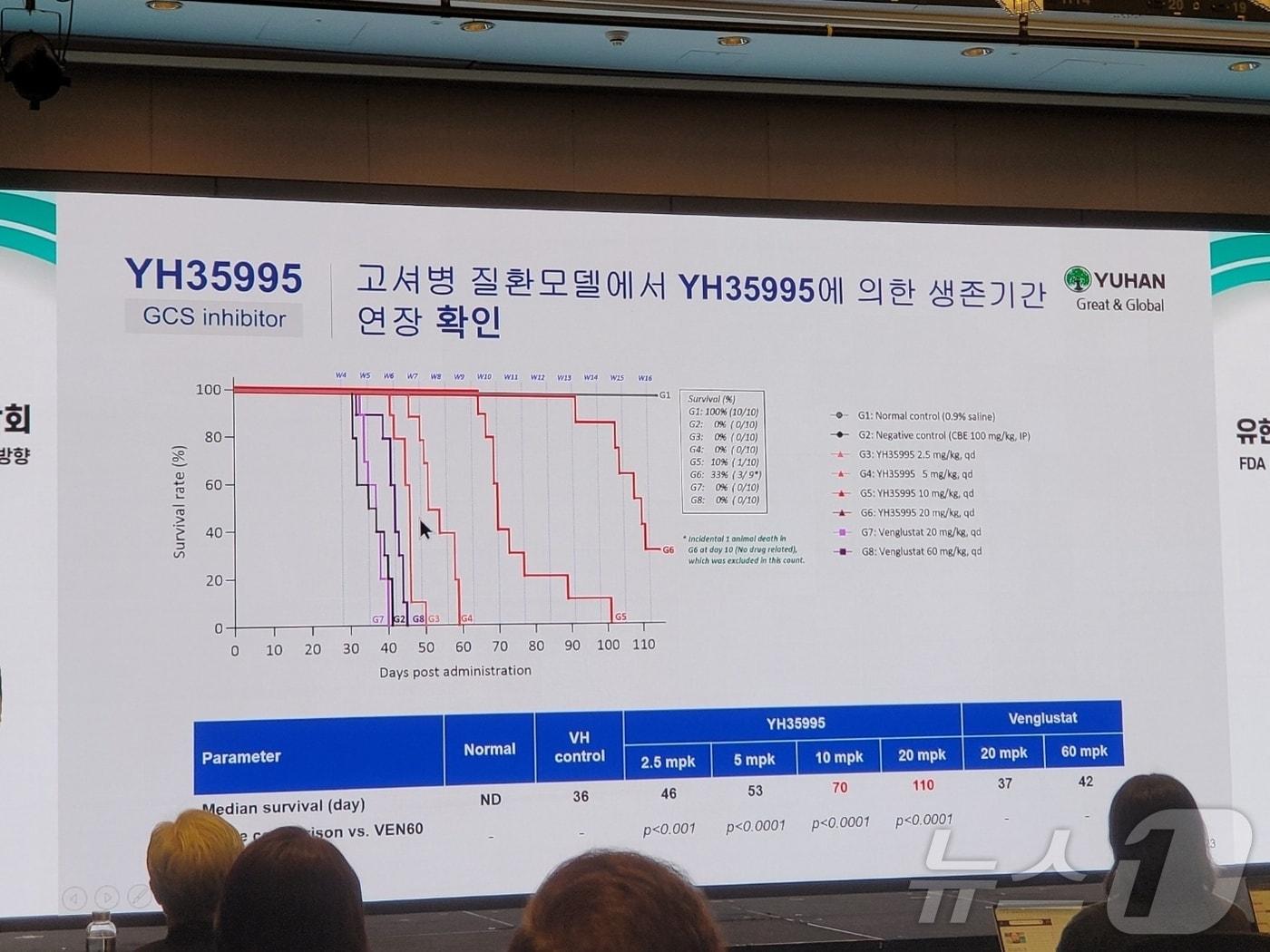 유한양행이 고셔병 치료제로 개발 중인 신약 후보물질 &#39;YH35995&#39; 전임상 주요 데이터. 2024. 8. 23/뉴스1 ⓒ News1 황진중 기자