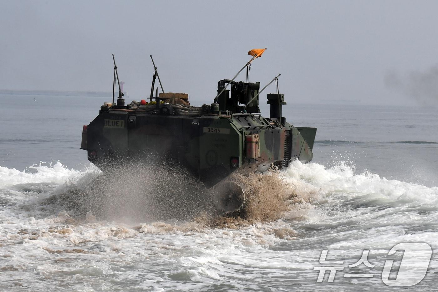 한·미 해병대 2024년 쌍룡훈련에 참가한 미 해병대원들이 25일 경북 포항시 남구 도구해안에서 ACV&#40;신형상륙전투차량&#41; 탑재 훈련을 위해 물보라를 일으키며 바다로 돌격하고 있다. 한·미해병대는 26일부터 9월 7일까지 포항 일대에서 연합 상륙훈련 등을 실시한다. 2024.8.25/뉴스1 ⓒ News1 최창호 기자