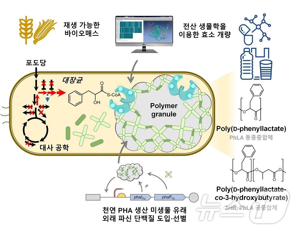 방향족 폴리에스터 생산 미생물 개발 전략. &#40;KAIST 제공&#41;/뉴스1