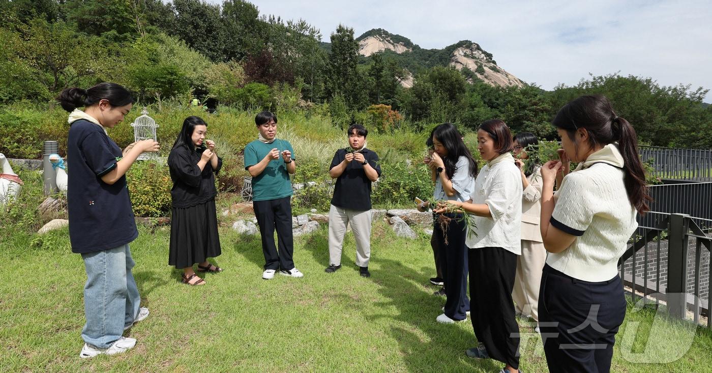 서울 청년들이 서울 노원구 불암산 산림치유센터에서 서울형 정원처방 체험을 하고 있다. ⓒ News1 박지혜 기자