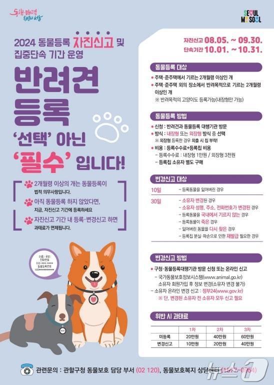 금천구 동물 등록 자진신고. &#40;금천구 제공&#41;ⓒ 뉴스1