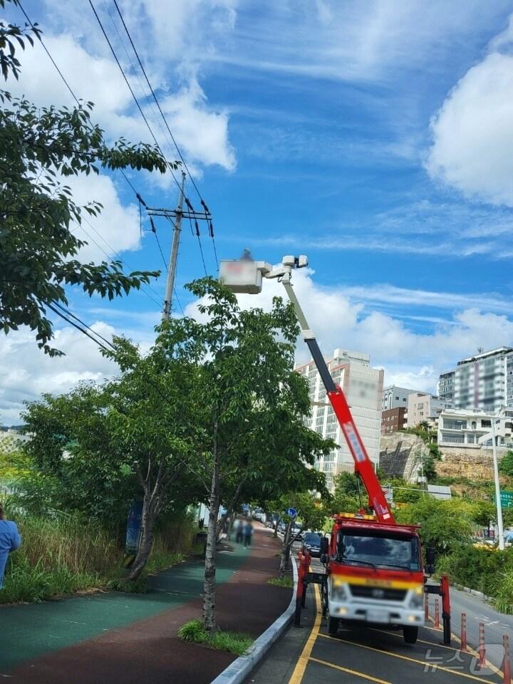 강풍주의보 발령 중인 울산에서 신호등 고장 신고가 잇따랐다.&#40;울산경찿청제공&#41;