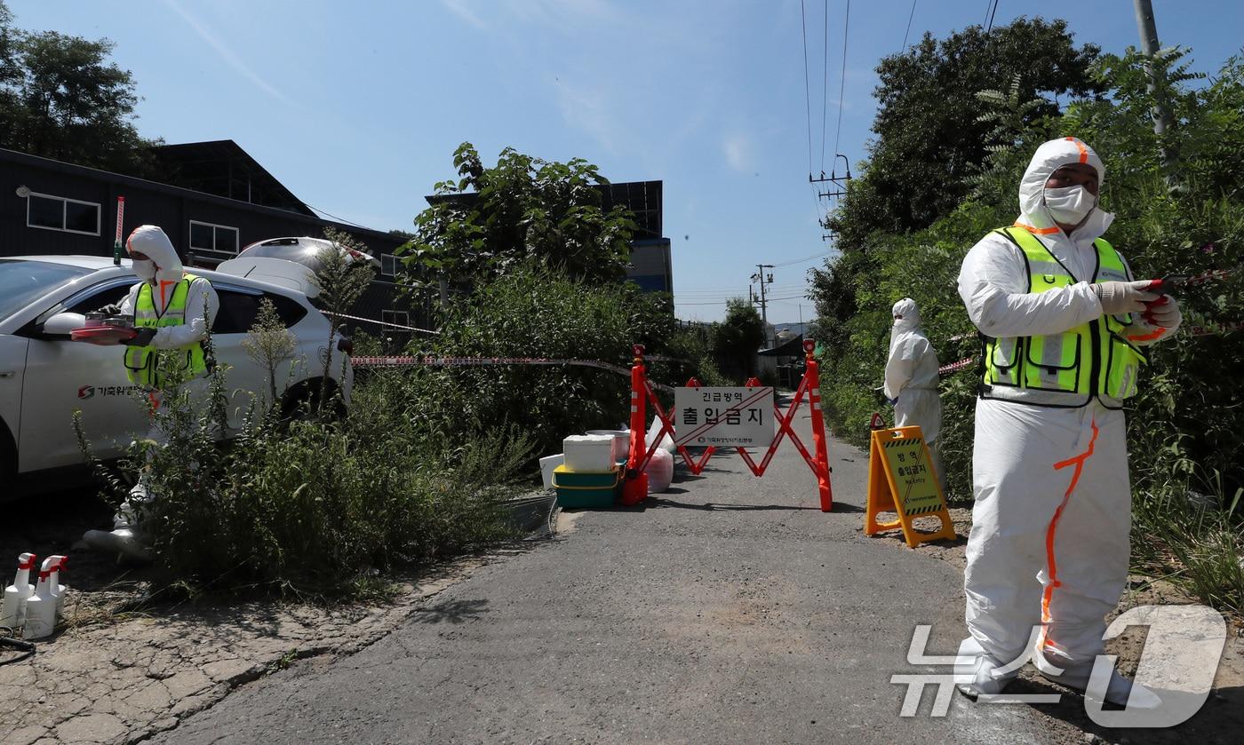 한 양돈농가에 아프리카돼지열병&#40;ASF&#41;이 발병해 방역 관계자들이 차량을 통제하 있다. ⓒ News1 박세연 기자