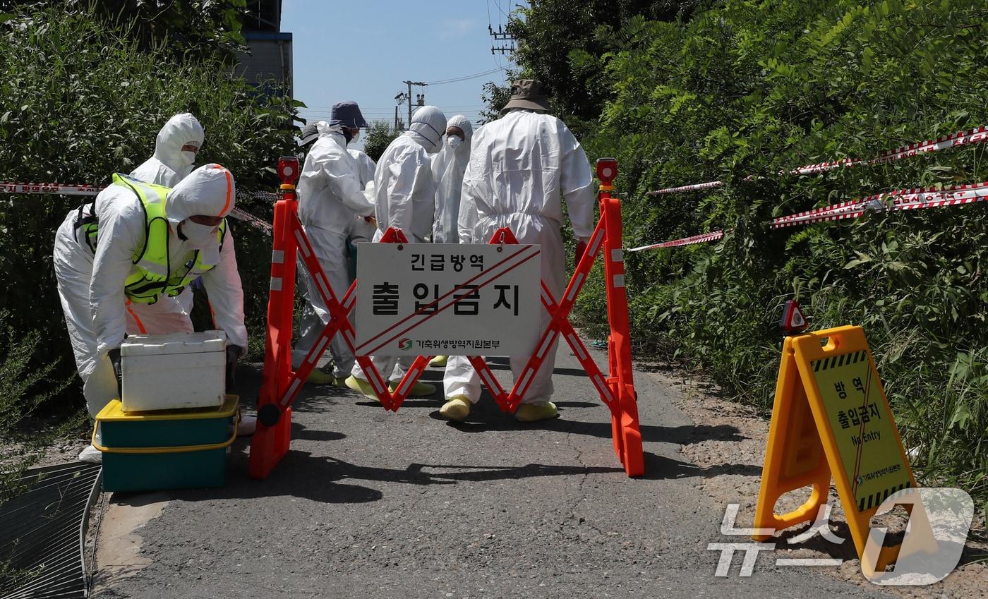 3경기도 김포시 한 양돈농가에 아프리카돼지열병&#40;ASF&#41;이 발병해 방역 관계자들이 투입되고 있다.  ⓒ News1 박세연 기자