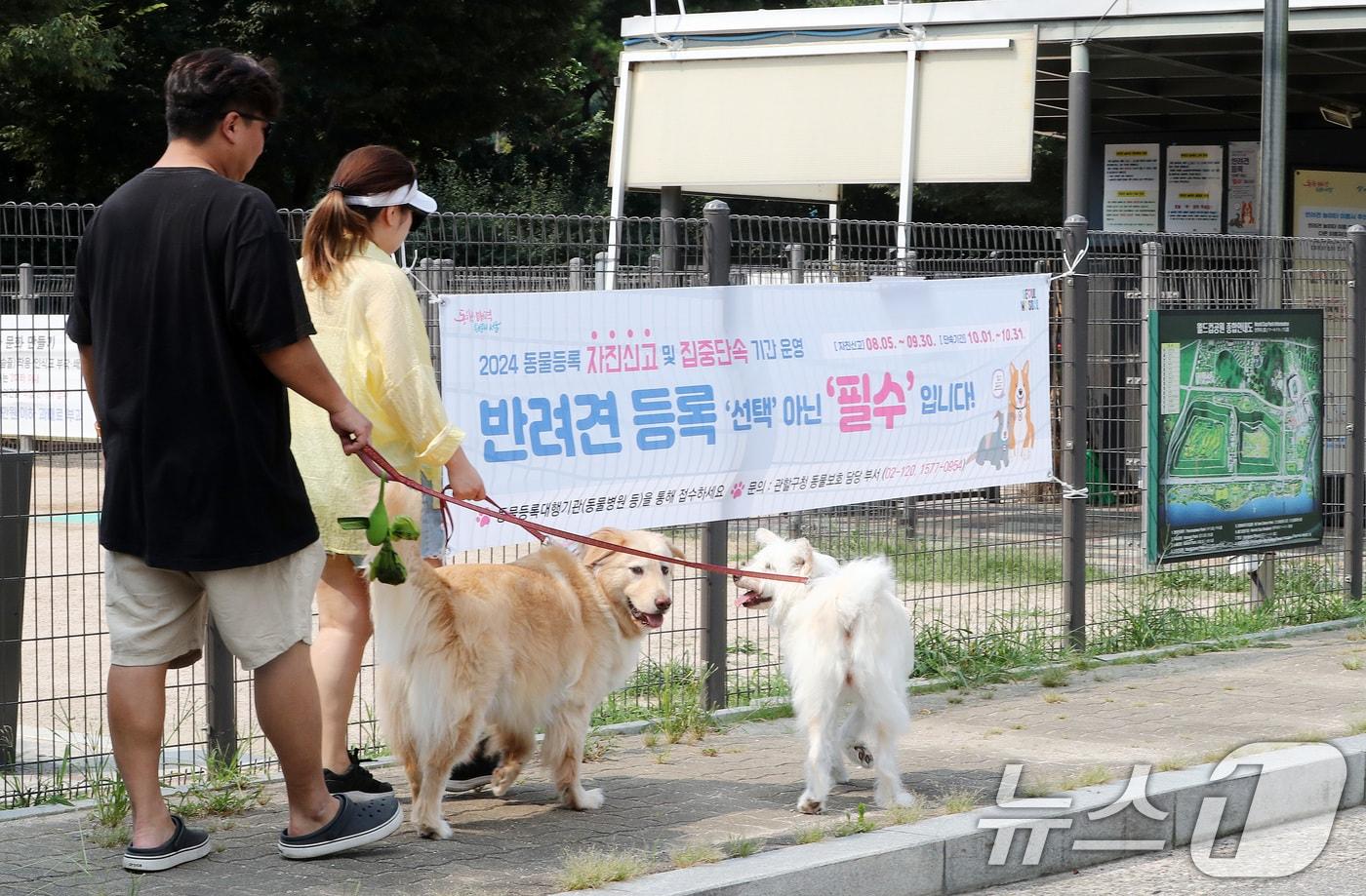 서울 마포구 월드컵공원에서 한 반려인들이 반려견과 함께 산책을하고 있다. 2024.8.4/뉴스1 ⓒ News1 박세연 기자