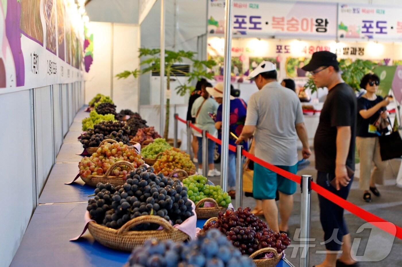  &#39;향수옥천 포도·복숭아 축제&#39; 비교 전시관 모습&#40;옥천군 제공&#41; /뉴스1