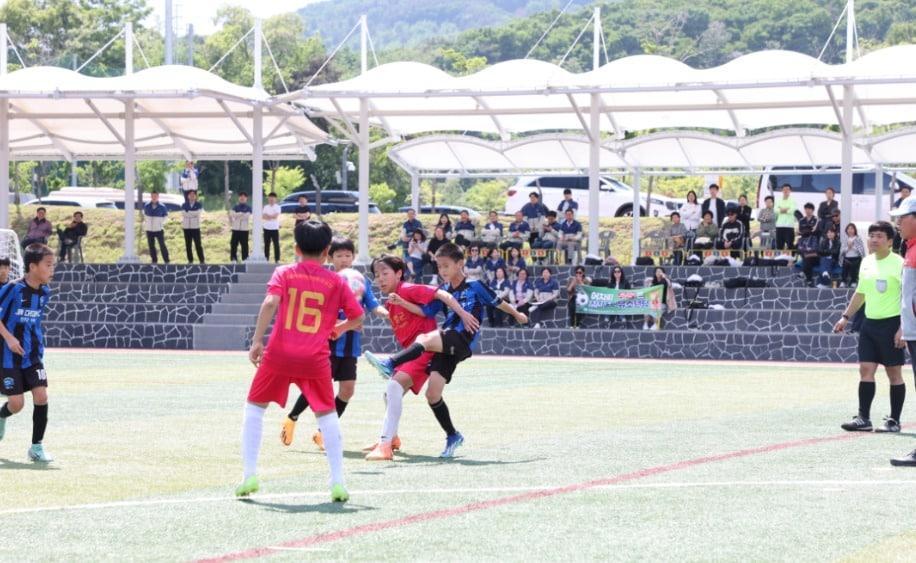  전국 유소년축구대회 모습. &#40;진천군 제공&#41; / 뉴스1