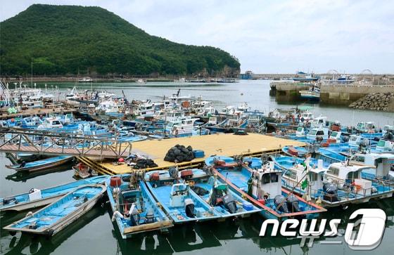 전북 부안군 가력항에 정박중인 어선들&#40;뉴스1/DB&#41;ⓒ News1