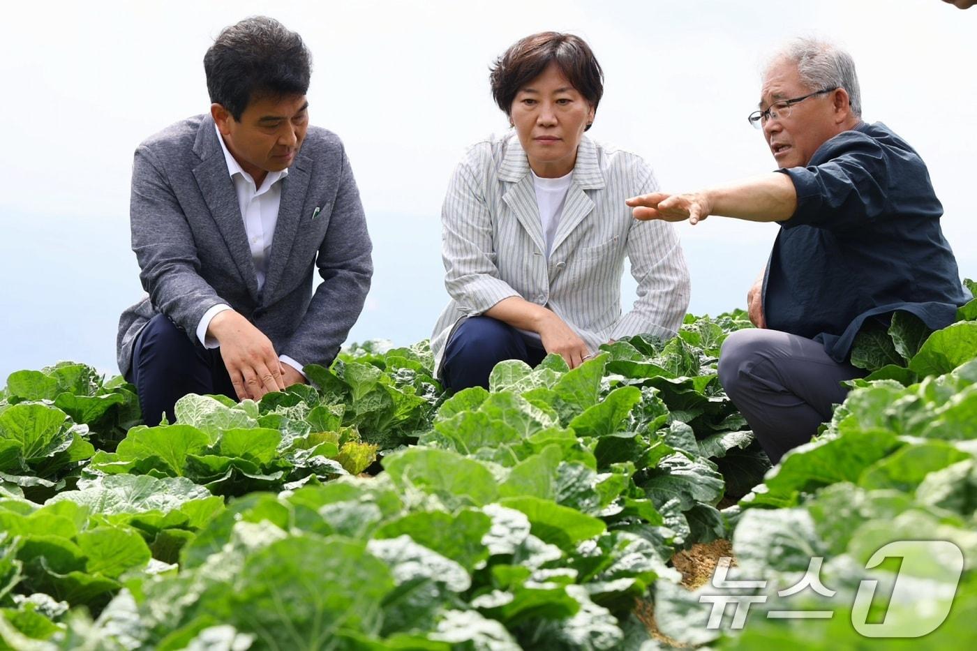 송미령 농림축산식품부 장관. &#40;농림축산식품부 제공&#41; 2024.8.8/뉴스1