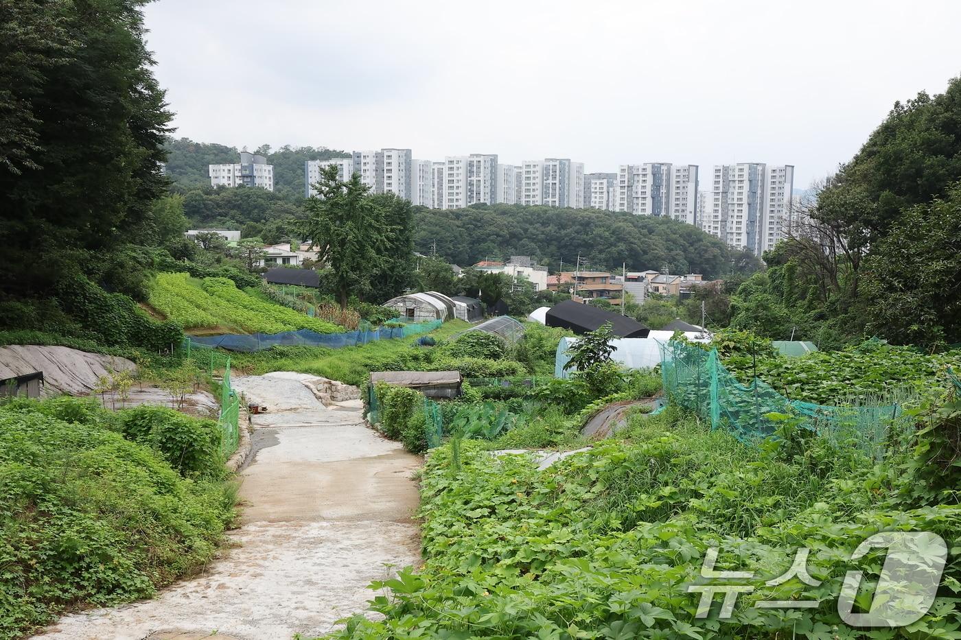 사진은 이날 그린벨트 해제지로 유력 거론되는 서울 서초구 내곡동 일대 개발제한구역 모습. 2024.8.8/뉴스1 ⓒ News1 김진환 기자