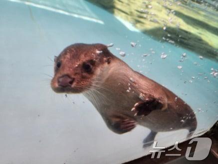  &#40;서울어린이대공원 제공&#41; 