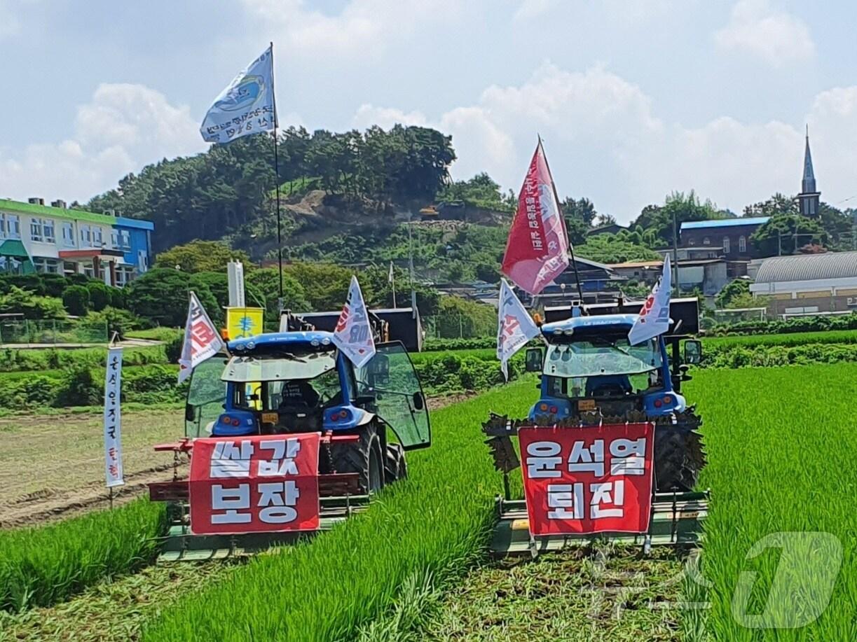 전국농민회 부산경남연맹이 9일 오전 의령군 지정면 마산리의 한 논에서 쌀값 폭락을 규탄하며 논을 갈아 엎고 있다. 2024.08.09. ⓒ 뉴스1 박민석 기자