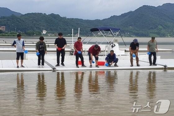  11일 충북 충주시 등 자치단체가 물고기 치어 방류 사업을 계속하는 가운데 치어 방류가 물고기 어업량 증가에 도움이 된다는 연구결과가 나와 주목된다.  사진은 쏘가리 치어 방류 모습.&#40;자료사진&#41;/뉴스1