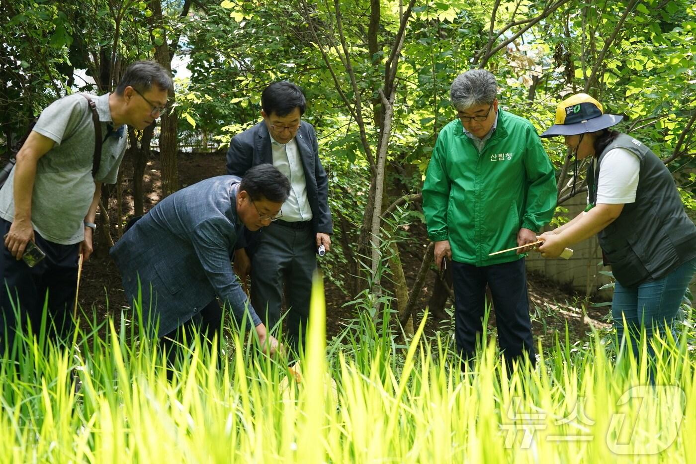 임상섭 산림청장&#40;오른쪽 두번째&#41;이 원흥이생태공원을 찾아 관계자의 설명을 들으며 둘러보고 있다.&#40;산림청 제공&#41;/뉴스1