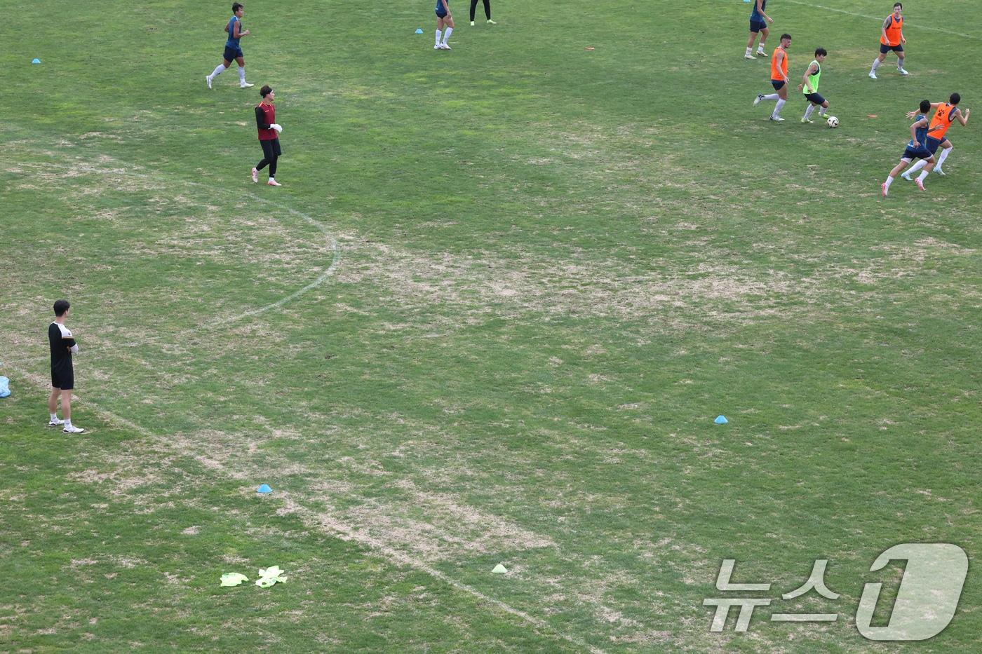 광주 서구 월드컵경기장 축구전용구장에서 폭염등 이상기후로 훼손된 잔디 사이로 선수들이 연습을 하고 있다. 2024.9.1/뉴스1 ⓒ News1 김태성 기자