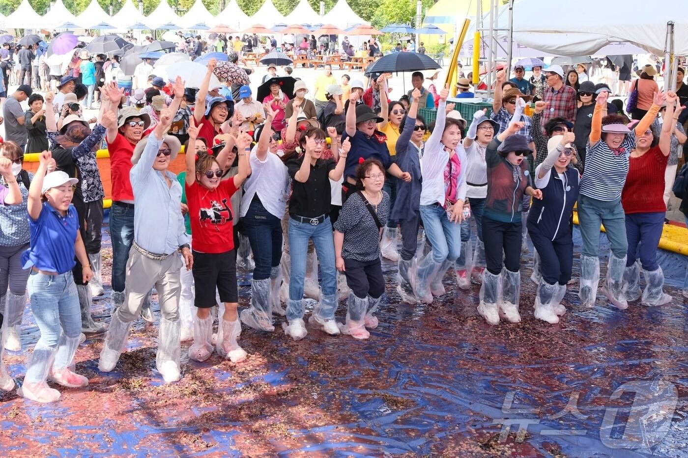 9월의 첫날 충북은 농산물 축제장에서 수확의 기쁨을 나누려는 방문객 발길이 이어졌다. 사진은 영동포도축제 포도밟기 체험행사.&#40;영동군 제공&#41;2024.9.1/뉴스1 