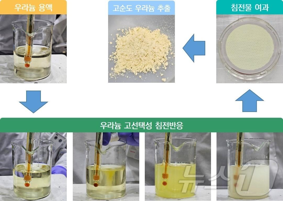 우라늄 용액에서 침전반응을 통해 고순도 우라늄을 추출하는 과정.&#40;한국원자력연구원 제공&#41;/뉴스1