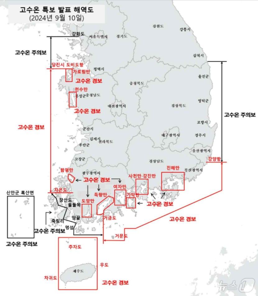  경북 포항지역에서 발생한 고수온 피해로 강도다리 등 234만여마리가 폐사한 것으로 나타났다. 사진은 10일 자 국립수산과학원 고수온 지도, &#40;국립수산과학원 홈페이지 갈무리&#41; 2024.9.11/뉴스1 