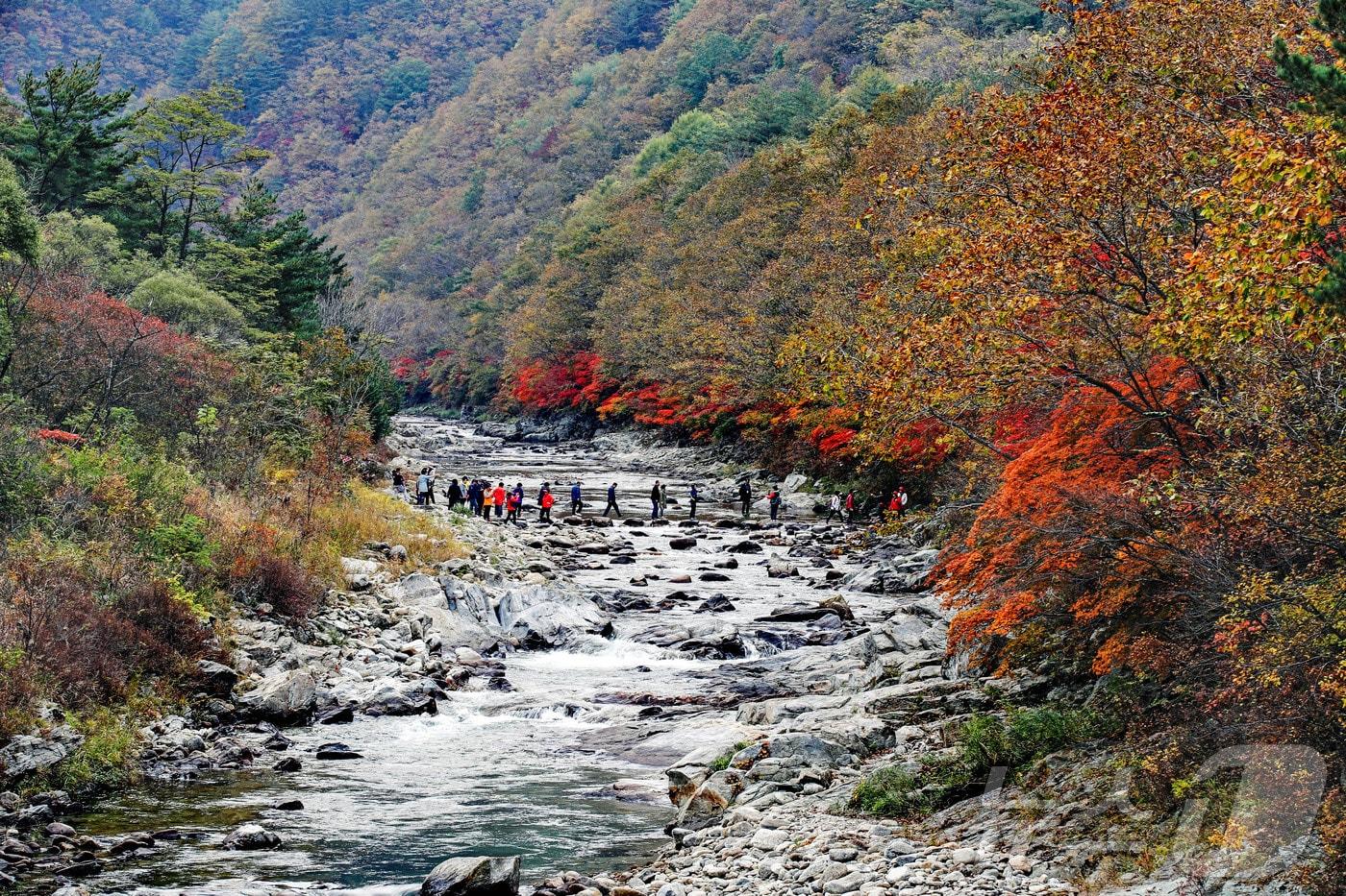 국토정중앙 청춘양구 관광사진 공모전 입선작인 김재경씨의 &#39;두타연의 만추&#39;.&#40;양구군 제공&#41;/뉴스1