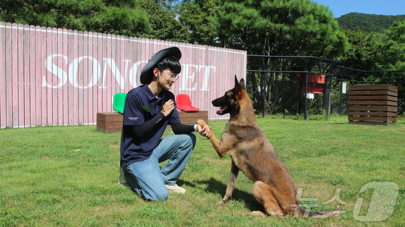 소노인터내셔널 소노펫클럽앤리조트가 선보인 소노펫 힐링케어.&#40;소노인터내셔널 제공&#41;