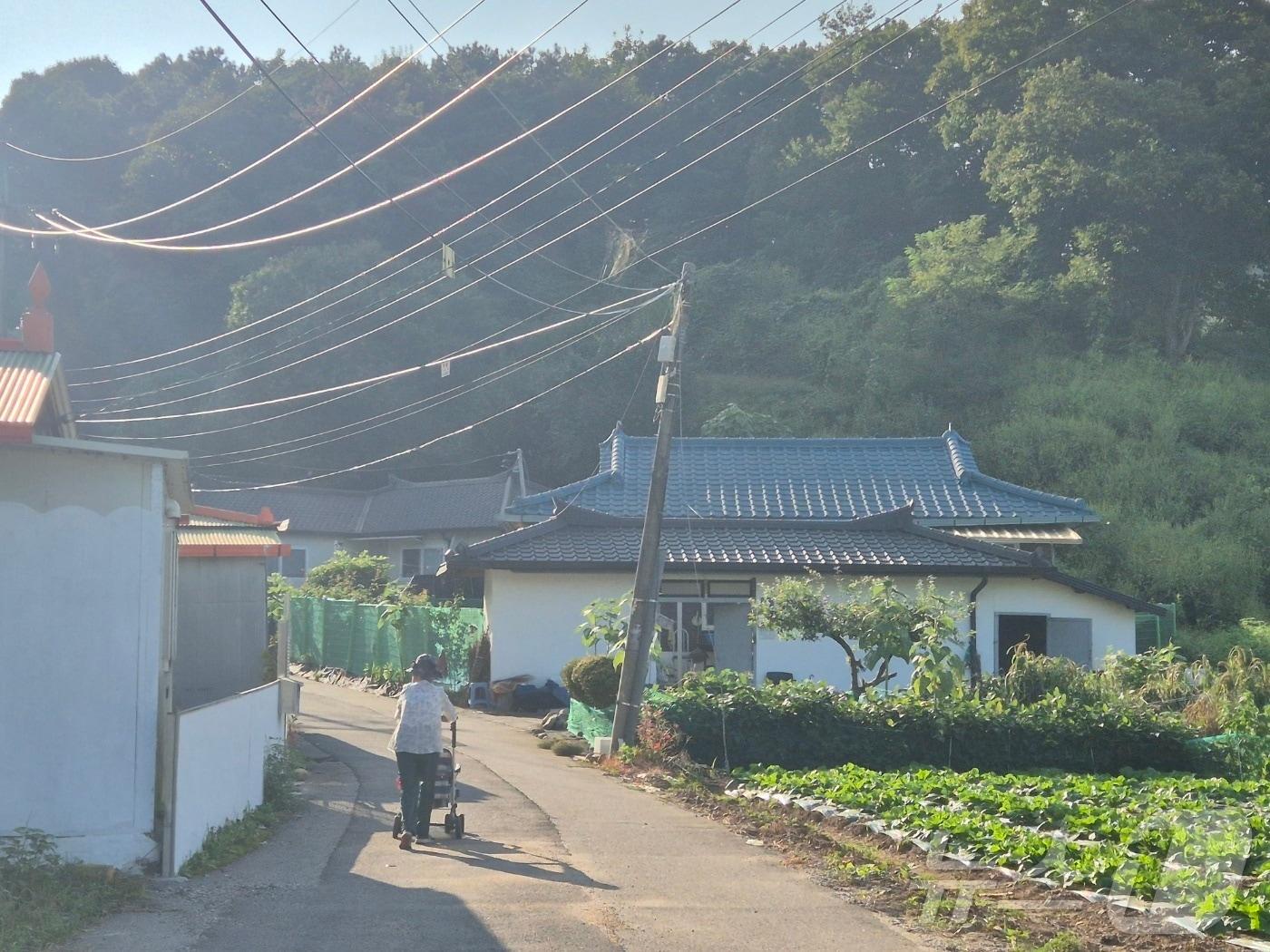 농촌기본소득 시범사업지인 경기 연천군 청산면  궁평리 마을./뉴스1 양희문 기자