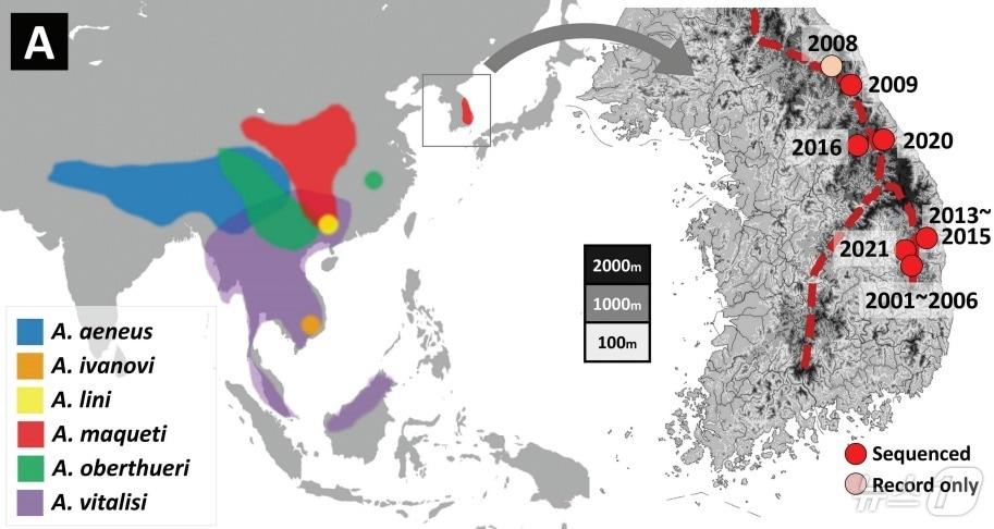 &#40;논문 일부 발췌&#41;