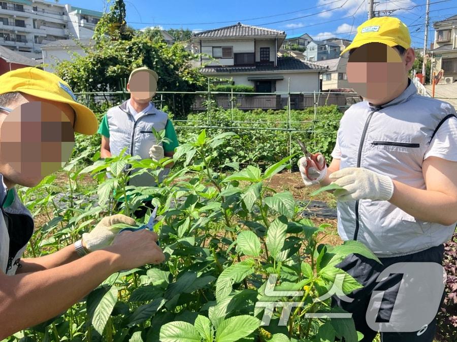 광주 은둔 청년 3명이 일본 요코하마에서 사회복귀 연수 프로그램 에 참가하고 있다.&#40;광주시 제공&#41;/뉴스1 